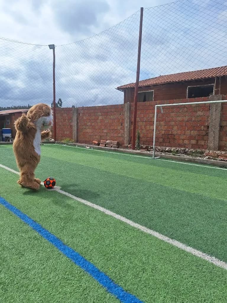 Cancha Sintética Gol Sebastiano - Foto 2