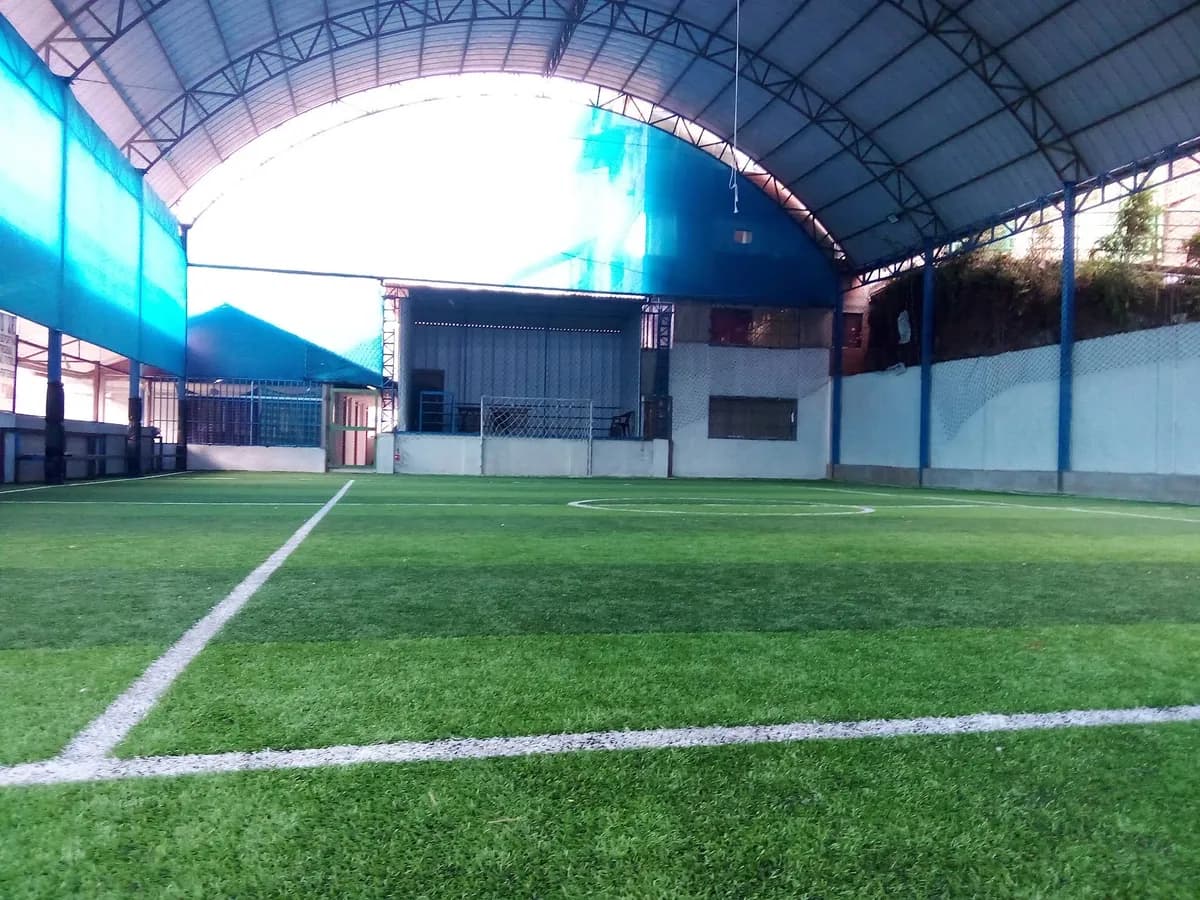 Cancha sintética GOLD STAR - Foto 1